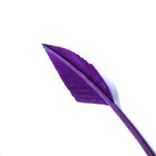 Deep Purple Arrow Head Feather